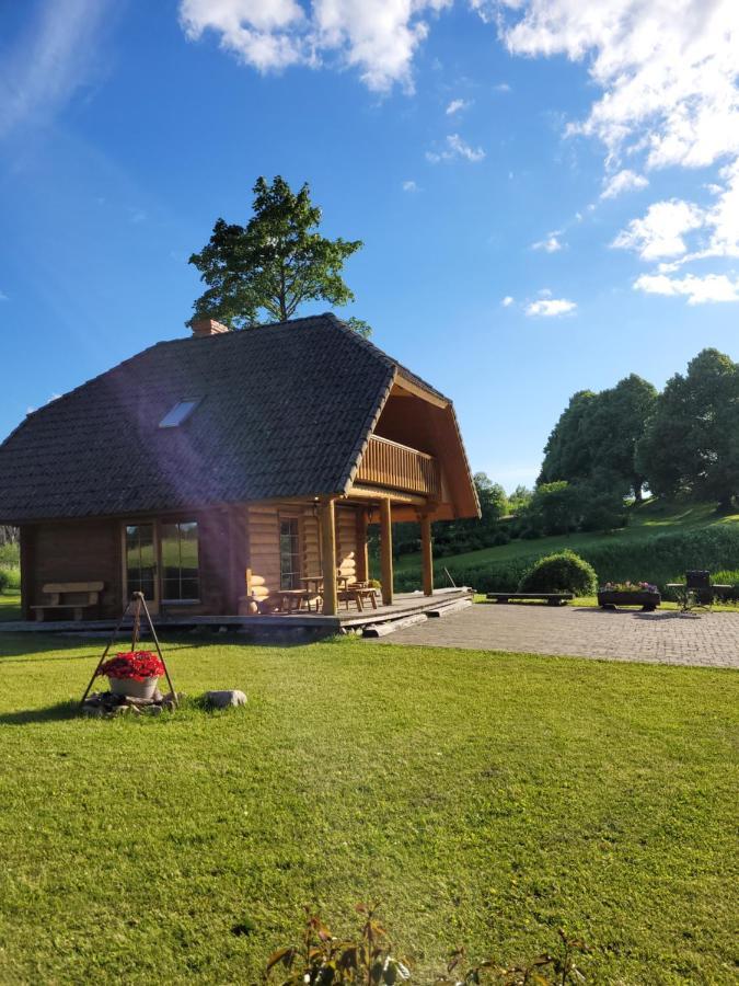 Brivdienu Maja Ar Pirti "Strautkalni" Ieriki ภายนอก รูปภาพ